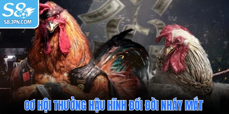 Cơ hội thưởng hậu hĩnh đổi đời nháy mắt