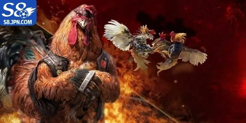 Đá gà trực tuyến mang đến nhiều điều lợi ích cho người chơi